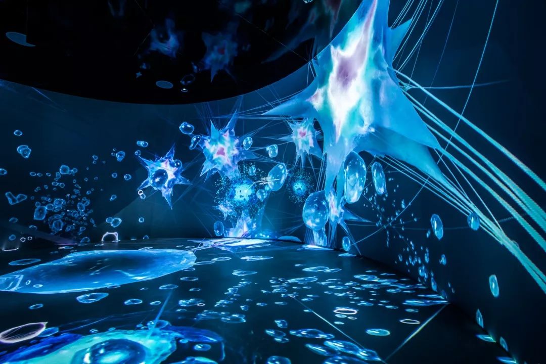 思威圖數字干細胞展廳科普館設計—央視聚焦：干細胞領域讓器官再生成為可能。｜生物科技展廳｜再生醫學展廳｜抗衰老展廳