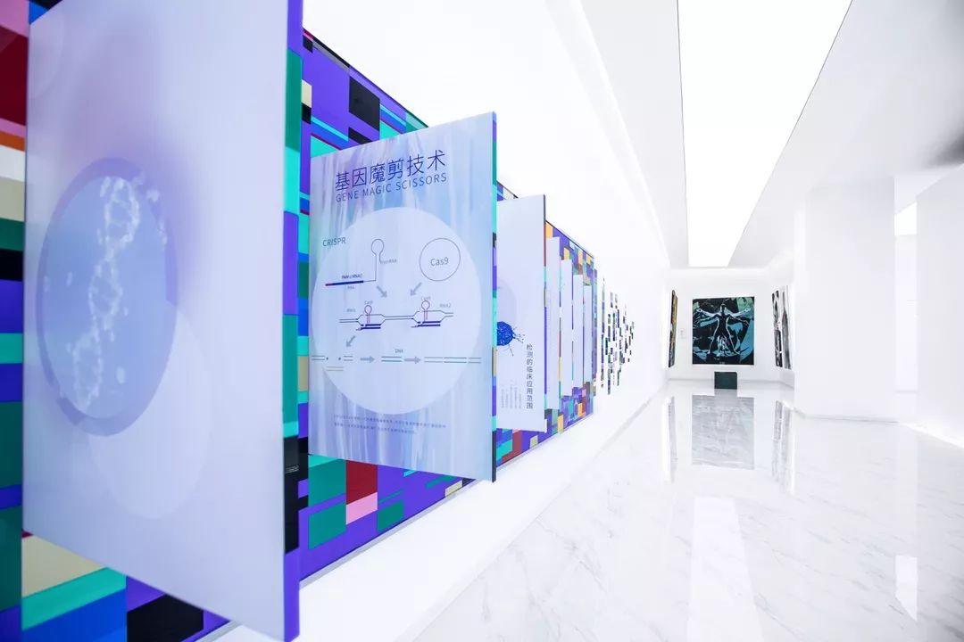 探秘干細胞展廳設(shè)計 五大內(nèi)容模塊決定參觀體驗｜生命科技館｜干細胞科普館設(shè)計公司