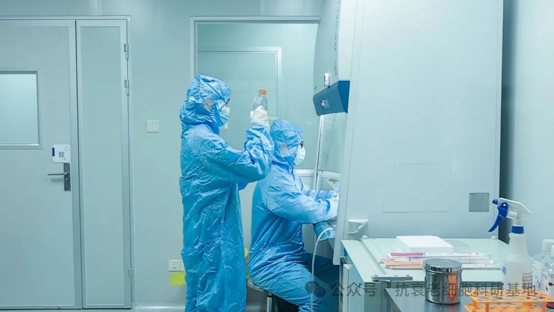 干細胞展廳設(shè)計的黃金密碼：五大核心模塊打造沉浸式科普體驗｜生命科技館｜再生醫(yī)學(xué)展廳｜長壽科技展廳